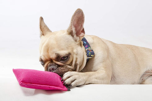 Dingo Dog Tug Toy with Handle, Dog Bite Pillow for Tug of War, Colorful Cotton, Size S, Z30001