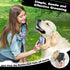 Augwind 3PCS Self Cleaning Slicker Brush & Pet Grooming Rake & Flea Comb for Dogs,Cats and Horses | Double-Sided