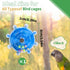Bird Toys for Parakeets, Interactive Spinner Rattle Budgie Toys, Rotating Wheel Chew Parrot Toys for Medium Birds Small