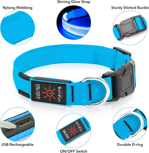 LED Dog Collar, USB Rechargeable Lighted Adjustable Nylon Safety Collar for Dogs Glow in The Dark (Blue, Medium)