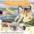 (3 Pack-Large) Rubber Chicken Dog Squeaky Toys, Durable Latex Chew Toys for Small Medium Large Size Dogs, Teething