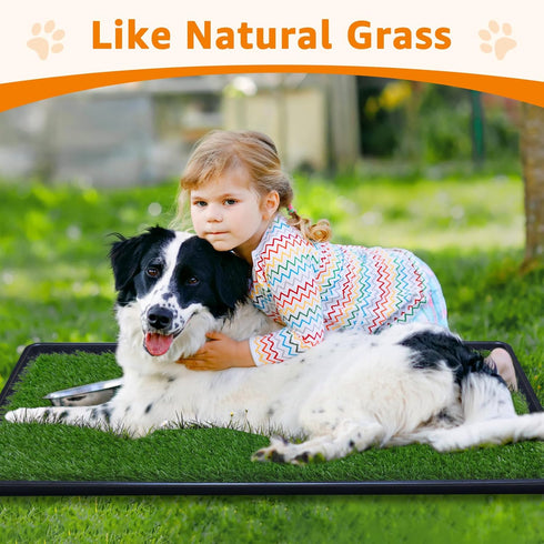 33.2in 21in 35x23in Tray(1 Pack) LOOBANI x Replacement Artificial Grass Puppy Training Pads, Quickly Absorbency