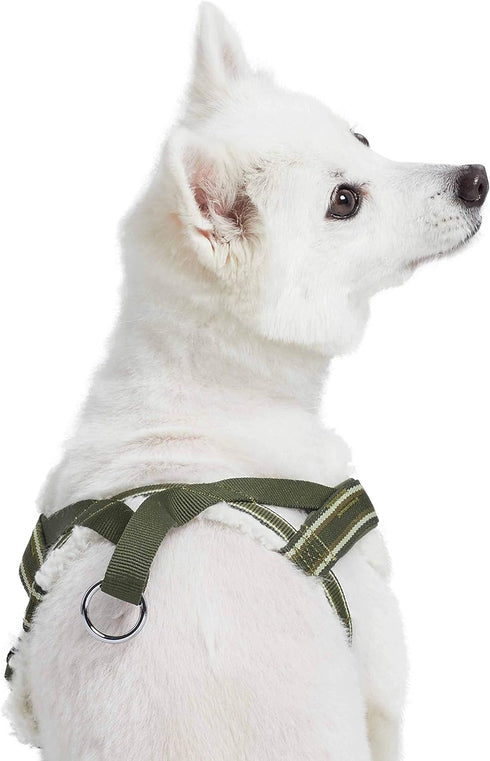 Blueberry Pet Adjustable No Pull Training Dog Harness, Olive Green, Small, Chest Girth 16.5" - 21", Multi-Colored