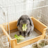 Dmnnlp 20Pcs (15.4x11.2x4.8 inch) Stainless Steel Gird Rabbit Litter Box, Bunny Litter Pan with Hay Feeder & Disposable