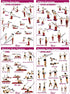 Portable Pilates Home Kit with Loop Straps, Resistance Bands, Door Anchors, and Carabiners for Home Workouts
