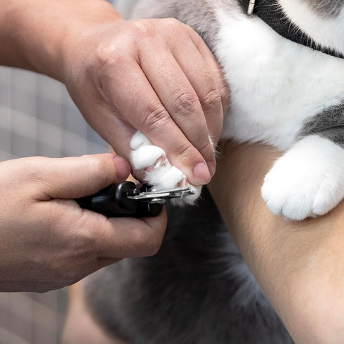 Tweezerman Dog and Cat Nail Clipper for Small Pets