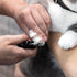 Tweezerman Dog and Cat Nail Clipper for Small Pets