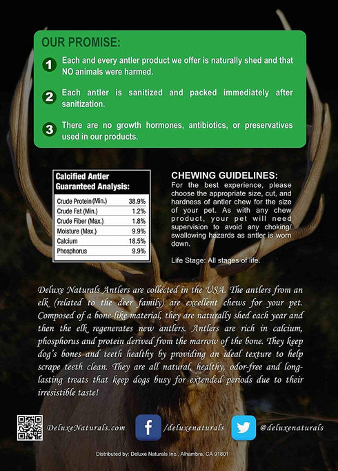 Elk Antler Chews for Dogs - Naturally Shed USA Collected A-Grade Premium Elk Antlers, 1-LB Large Cuts, All Natural