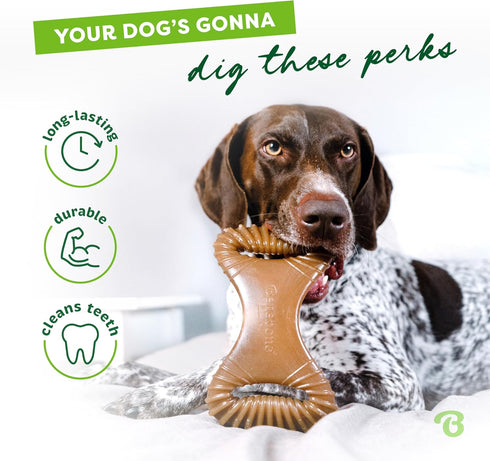 Benebone Medium Chicken Flavor Dog Chew Toy for Aggressive Chewers - USA Made