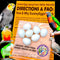 7 Cockatiel Dummy Bird Eggs Stop Brooding Laying! Tricks Your Bird Everytime!