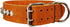 Thick Genuine Leather Spiked Studded Dog Collar - Brown, Fits 18"-22" Neck for Retriever, Doberman, Rottweiler, Pitbull