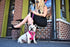 EcoBark Dog Leash, Soft & Reflective Comfort Training Leashes with Padded Handle, Heavy Duty for Small, Medium, Large