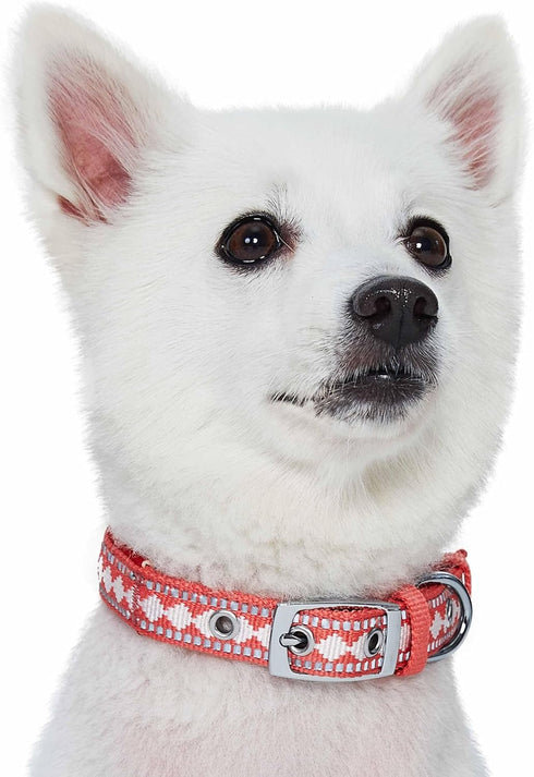 Blueberry Pet Reflective Jacquard Dog Collar - Soft & Adjustable Safety Collar - Coral, Neck 17-20.5"