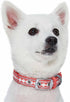Blueberry Pet Reflective Jacquard Dog Collar - Soft & Adjustable Safety Collar - Coral, Neck 17-20.5"