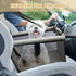 PetsHome Dog Car Seat, Foldable Booster Seat, Waterproof Travel Bag for Small to Medium Dogs, Pure Grey