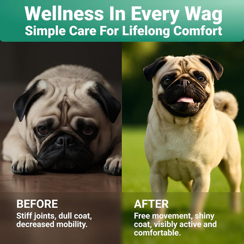 WuffWell Hip and Joint Powder Supplement for Dogs - Glucosamine Dog Joint Health - Joint Supplement for Dogs Powder