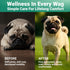 WuffWell Hip and Joint Powder Supplement for Dogs - Glucosamine Dog Joint Health - Joint Supplement for Dogs Powder
