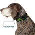 Dog Collar Plastic Clip Loki In Action, Black Gray Yellow Green, 11 to 17 Inches, 1.0 Inch Wide