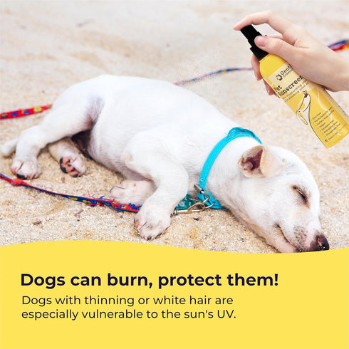 Dog Sunscreen - SPF 30+ with Skin Moisturizing Vitamin E and Olive Oil, Safe for All Dogs and Cats, Dog Beach