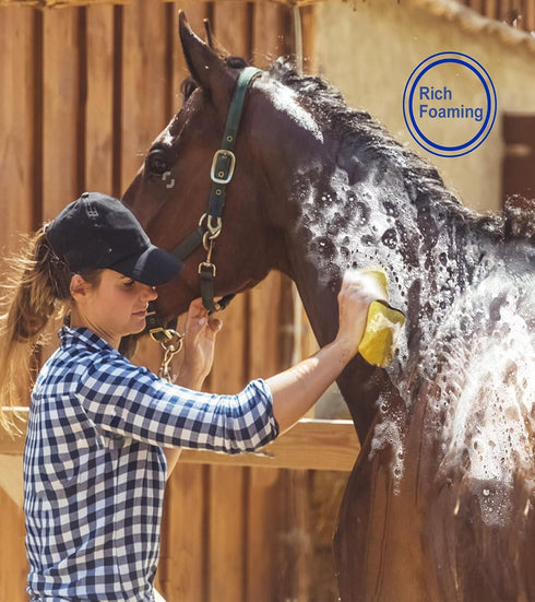 (12-Piece): Horse Grooming Kit Brushes, Storage Bag, Sweat Scraper, Mane Comb, Grooming Gloves - Purple Horse Gifts