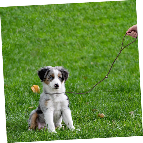 FOMIYES Dog Rope Walking Leash, Heavy Drawstring Leather Pet Supplies for Walking