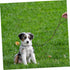 FOMIYES Dog Rope Walking Leash, Heavy Drawstring Leather Pet Supplies for Walking