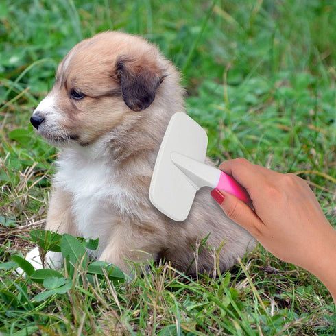 Slicker Brush and Nail Clippers for Dogs, Cats, Essential Grooming Tools for Claw Care and Trimming