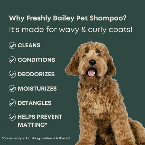 16 Oz Doodle Shampoo and Conditioner - Best Dog Shampoo for Goldendoodle, Poodles, Doodle Breeds - for Curly & Wavy