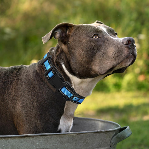 Mile High Life Dog Collar, Nylon Reflective, Light Weight for Medium Dogs, Blue