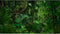 Tropical Rainforest Aquarium Background Psychedelic Forest Terrarium Background with Old Trees, Woodland Reptile