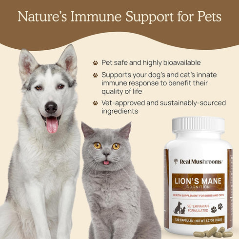 Wellbeing 120 Count Real Mushrooms Lions Mane Pet Mushroom Supplement Pet Capsules for Cat & Dog Supplement & Vitamins