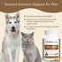 Wellbeing 120 Count Real Mushrooms Lions Mane Pet Mushroom Supplement Pet Capsules for Cat & Dog Supplement & Vitamins