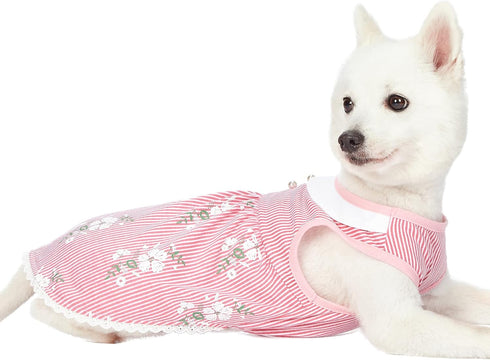 Blueberry Pet Wonderland Floral Sleeveless Dog Dress, Pink Stripe with Peter Pan Collar, Back Length 12", Pack of 1