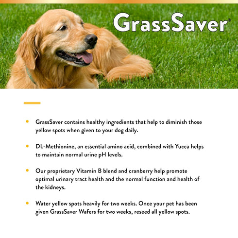 NaturVet GrassSaver Wafers for Dogs – 300 Wafers, Healthy Supplement with B-Complex Vitamins & Amino Acids