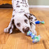 Outward Hound Orka Puppy Dental Chew Toys for Small Dogs & Teething Puppies - 3 Pack