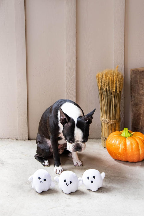 Pearhead Plush Squeaky Ghost Dog Toys, Set of 3 Halloween Stuffed Pet Toys, Must-Have Accessories for Dog Owners