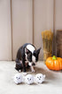 Pearhead Plush Squeaky Ghost Dog Toys, Set of 3 Halloween Stuffed Pet Toys, Must-Have Accessories for Dog Owners
