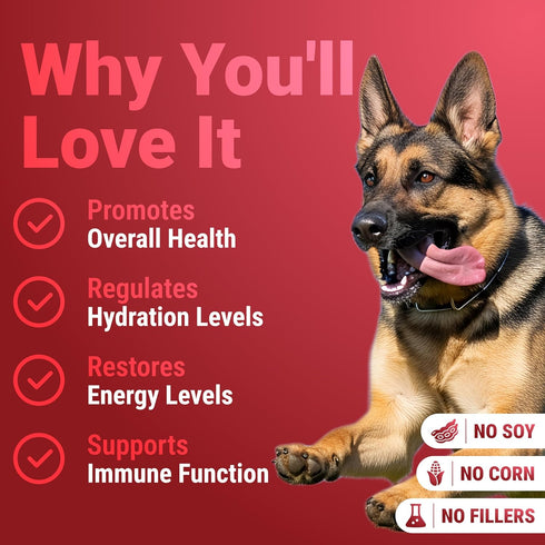 Immune WuffWell Turkey Tail Mushroom Supplement for Dogs - Support Mushrooms - Dog Mushroom Supplements for Health