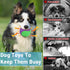 3.5in Squeaky Dog Balls - Tough Ball Toys for Dogs - Light Weight High Bouncy Dog Toy Balls (4Pcs)