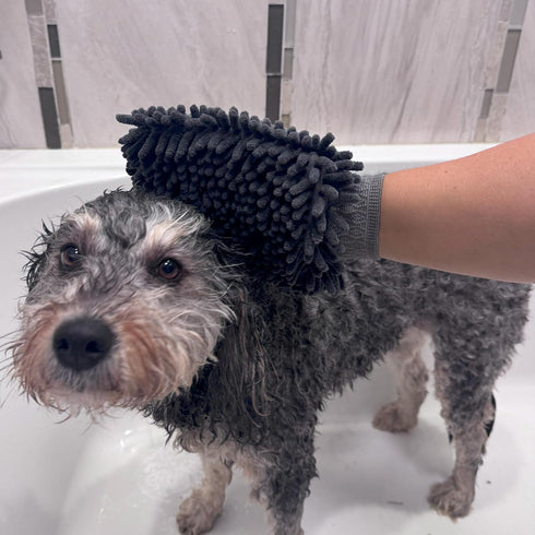SPOT Clean Paws Chenille Microfiber Dog Towel Mitt - Super Absorbent, Quick-Drying, Washable, 9.5in x 7in, Odor-Free