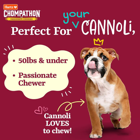 Hartz New Chompathon Gripper Bone Dog Chew Toy - Double Layered Flavored with Chicken & Bacon for Aggressive Chewers