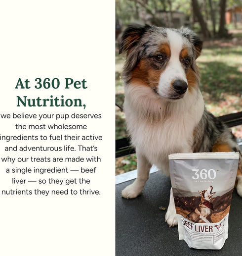 360 Pet Nutrition Freeze-Dried Raw Beef Liver Treats, High Protein Grain-Free Dog or Cat Snacks, 4 oz