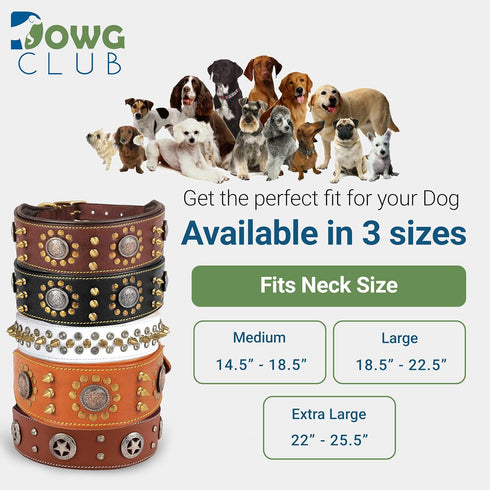 Punk Series Genuine Leather Dog Collar | Full Grain, Heavy Duty, Stylish, Comfortable for Medium, Large, XL Breeds (L)