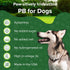 100% 16 oz Natural Peanut Butter for Dogs Safe - Healthy Dog Treats - No Sugar, Xylitol Free, Digestive Support - Puppy