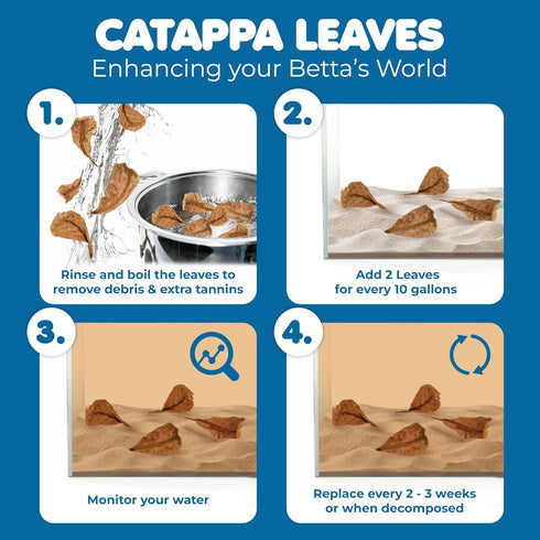 SunGrow 50 pcs Catappa Indian Almond Leaves - 2” Water Conditioner Leaves for Betta Fish Tank
