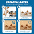 SunGrow 50 pcs Catappa Indian Almond Leaves - 2” Water Conditioner Leaves for Betta Fish Tank