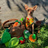 Pack- Nocciola Squeaky Fruits Veggies Stuffed Dog Toys Hide Seek Grocery Basket Crinkle Plush Puppy Toys to Keep Busy