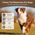 10 50% Immune 36g Turkey Tail Mushroom for Dogs, Organic Mushroom Blend for Lipoma Lumps and Bumps, Probiotic Mushroom