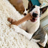 Nylabone Textured Knuckle Bone Power Chew Toy for Dogs, X-Large, Bacon Flavor, 1 Count
