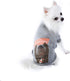 Star Wars for Pets "Come To The Fluffy Side" Chewbacca Dog Tee - Soft Dog Shirt for Large Dogs, Size X-Large